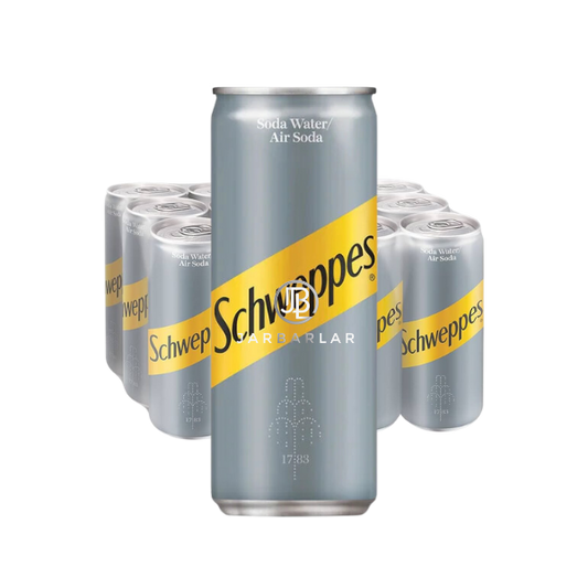 Schweppes Soda Water 24x320ml